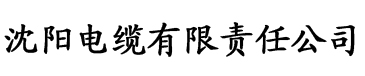 家庭理论推理免费中文版电缆厂logo